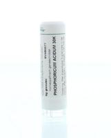 Homeoden Heel Phosphoricum acidum 30K 6 Gram - thumbnail