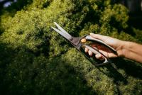 Fiskars Graskantschaar S50 - 1000557 - 1000557 - thumbnail