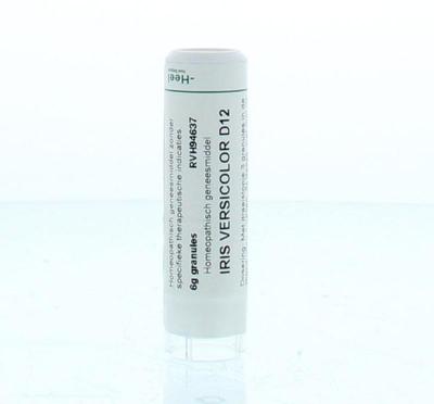 Homeoden Heel Iris versicolor D12 6 Gram Homeoden Heel Iris versicolor D12 6 Gram