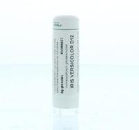 Homeoden Heel Iris versicolor D12 6 Gram - thumbnail