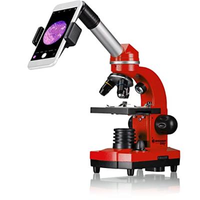 Bresser Optik 8855600E8G000 Biolux SEL Schülermikroskop Kindermicroscoop Monoculair 1600 x Opvallend licht, Doorvallend licht