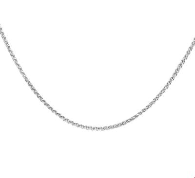 TFT Zilveren Ketting Vossestaart 1,0 mm x 45 cm TFT Zilveren Ketting Vossestaart 1,0 mm x 45 cm