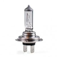 Hallogeenlamp M-Tech Z7 H7 12V 55W PX26D - thumbnail