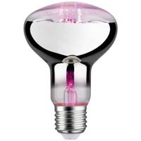 Paulmann LED-plantenlamp groei 230 V E27 6.5 W Barnsteen 1 stuk(s) - thumbnail