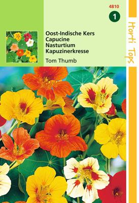 Zaden Tropaeolum Oost-Indische Kers Tom Thumb Hortitops - Hortitops