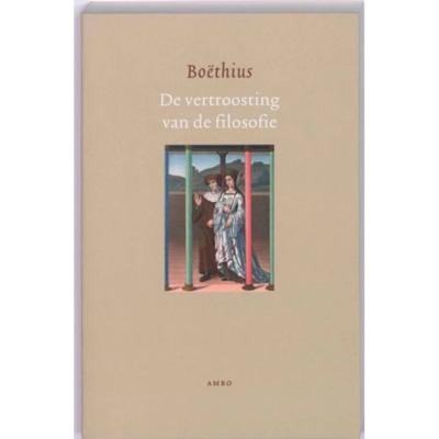 De vertroosting van de filosofie (Paperback)