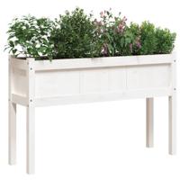 Plantenbakken met poten 2 st massief grenenhout wit - thumbnail