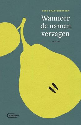 Wanneer de namen vervagen - René Swartenbroekx - ebook