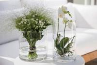 Hakbijl Glass Vaas - cilinder - glas - transparant - 19 x 19 cm - thumbnail