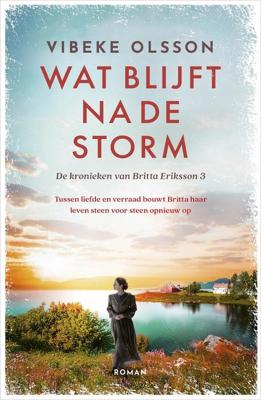 Wat blijft na de storm - Vibeke Olsson - ebook