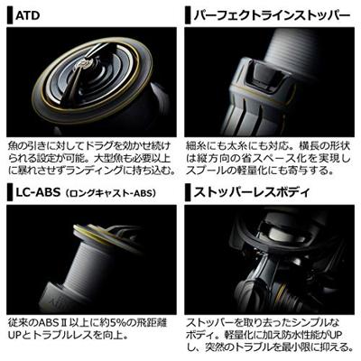 Daiwa Luvias Airity 21 LT 4000-C