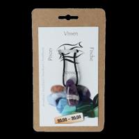 Steengoed Sterrenbeeldsteen hanger vissen 1 Stuks - thumbnail