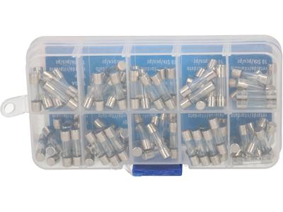 Max Hauri 135395 Buiszekering assortiment (Ø x l) 5 mm x 20 mm Traag -T- Inhoud 100 stuk(s)