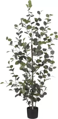 Mica Decorations kunstplant eucalyptus 150cm groen