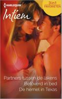 Partners tussen de lakens ; Betoverd in bed ; De hemel in Texas - Jane Sullivan, Jule McBride, Wendy Etherington - eBook (9789402508123) - thumbnail