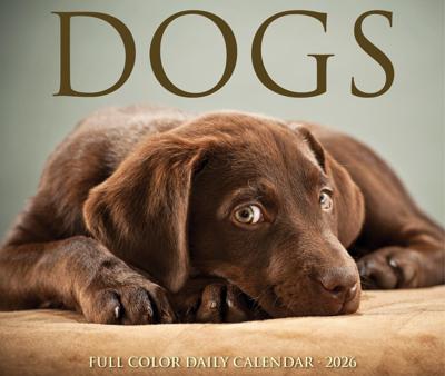 Honden Scheurkalender 2026 Boxed