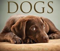 Honden Scheurkalender 2026 Boxed - thumbnail