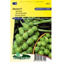 Spruitkool zaden - Amaroso F1 - thumbnail