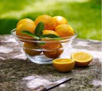 Vital schaal Cotula met Bloem des Levens Wit (23 cm) - thumbnail