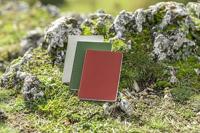 Sigel RU202 Notitieboek Re-Up Softcover DIN A5 Geruit Rood Aantal paginas: 50 - thumbnail