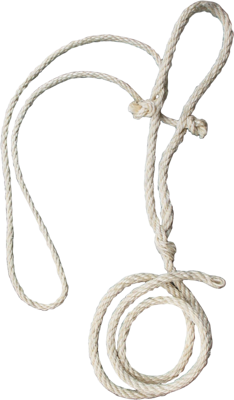 Koetouwhalster + dun koptouw