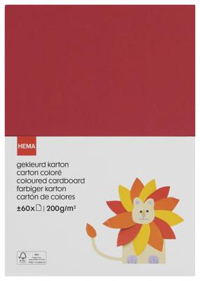 HEMA Gekleurd Knutselkarton - 60 Stuks HEMA Gekleurd Knutselkarton - 60 Stuks