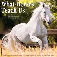 What Horses Teach Us Kalender 2026 - thumbnail