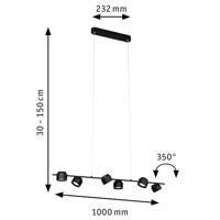 Paulmann Pane 79784 LED-hanglamp 36 W Zwart - thumbnail