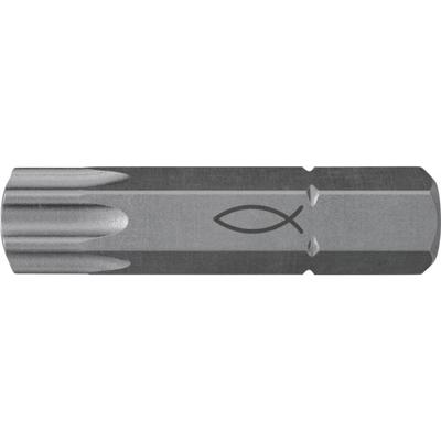 Fischer 557844 FPB T50 5/16 TX-bit Aandrijving: 5/16 (8 mm) Uitvoering: TX TX 50