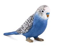 Mojo farmland grasparkiet blauw 387292 - thumbnail