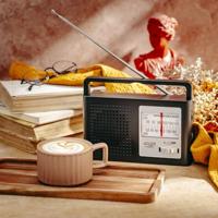 Radio Adler - thumbnail