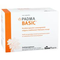 Padma Basic - thumbnail
