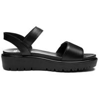 Ara 1233518 - alle - thumbnail