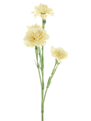 Dianthus Charly beige 62 cm kunstbloem Nova Nature - Nova nature