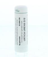 Homeoden Heel Urtica urens D12 6 Gram - thumbnail