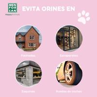 Insectenafweermiddel Menforsan 5 L - thumbnail