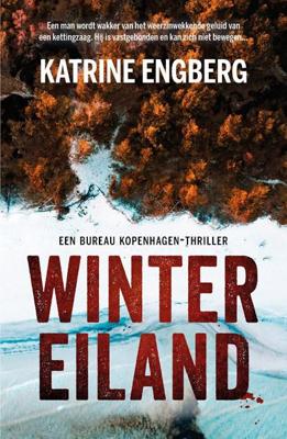 Wintereiland - Katrine Engberg - ebook