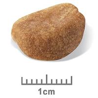 Royal Canin Puppy Rottweiler hondenvoer 2 x 12 kg - thumbnail