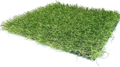 Easylawn kunstgras homeland rol 1x3 meter