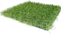 Easylawn kunstgras homeland rol 1x3 meter - thumbnail