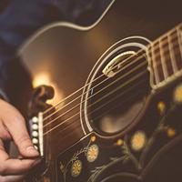 LR Baggs Anthem akoestische gitaar voorversterking - thumbnail