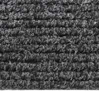 VidaXL Droogloopmat 100x250 cm antracietkleurig - thumbnail