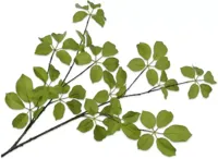 Silk-ka kunsttak blad 120cm groen - thumbnail