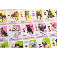 Dog Park - thumbnail