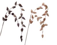 Spray plastic l68b10h2,50 cm a2 Decoris - Decoris - thumbnail