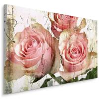 Schilderij - Prachtige Roze Rozen, Vintage afbeelding, Premium Print - thumbnail