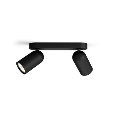Philips OpbouwspotPongee 2-lichts zwart - 5058230PN