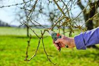 Gardena Pro snoeischaar promo - thumbnail