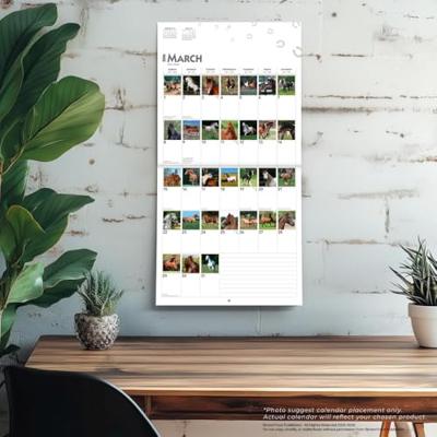 I Love Horses 366 Days Kalender 2026