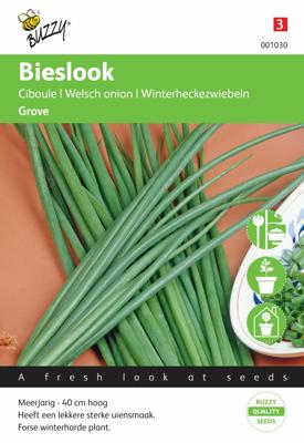 Buzzy® Grove Bieslook Zaden Buzzy® Grove Bieslook Zaden